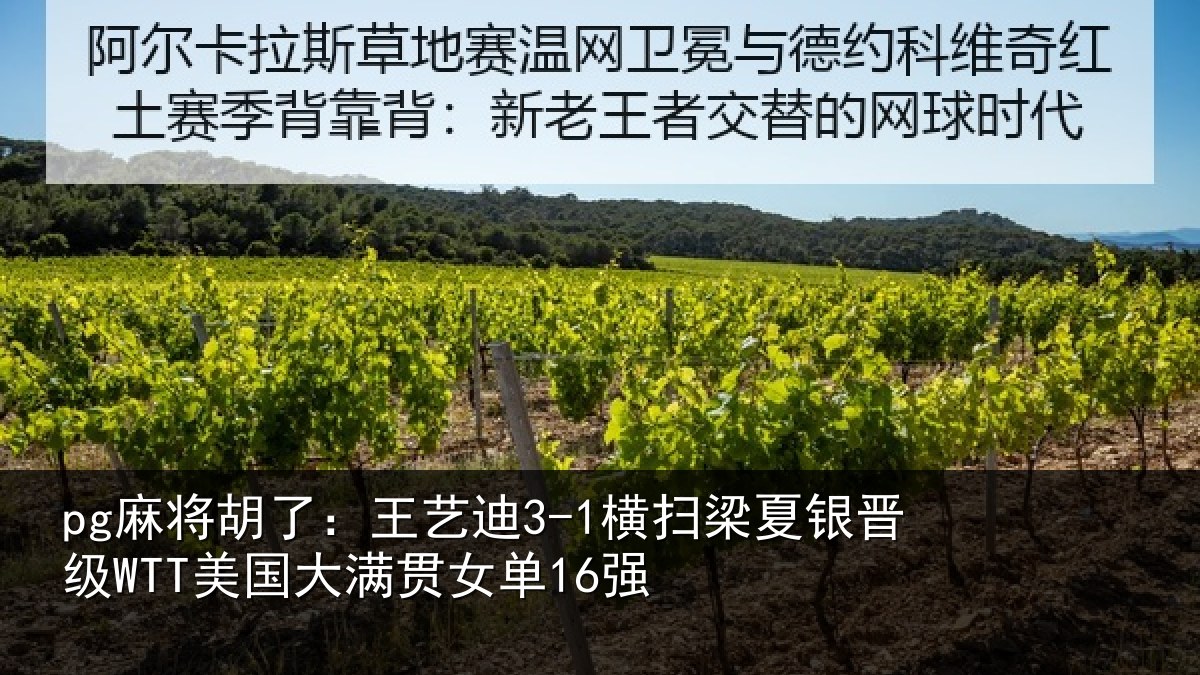 pg麻将胡了:王艺相关情况WTT美国大满贯女单16强