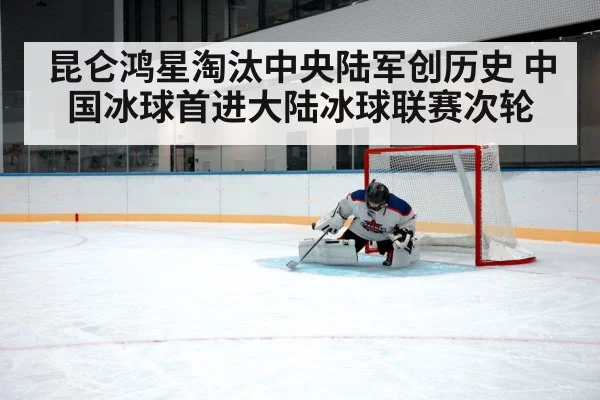 ice hockey goaltender save